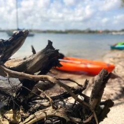 Pelican Sport Pulse 100X With Paddle Kayak 23 Pelican Sport Pulse 100X With Paddle Kayak -Pelican Sport KOS10P102 00 LS4